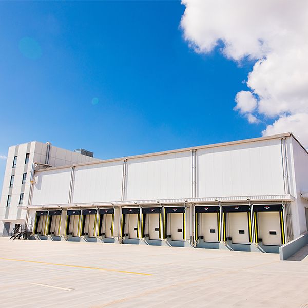 Insulated sectional door for cold storage - SSD-CAV